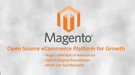 Why is Magento platform so popular for Ecommerce websites?