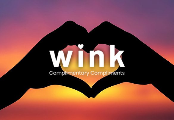 wink_03 wink_problem