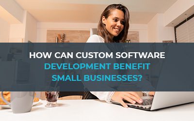 Custom Software Development Benefit Small Businesses