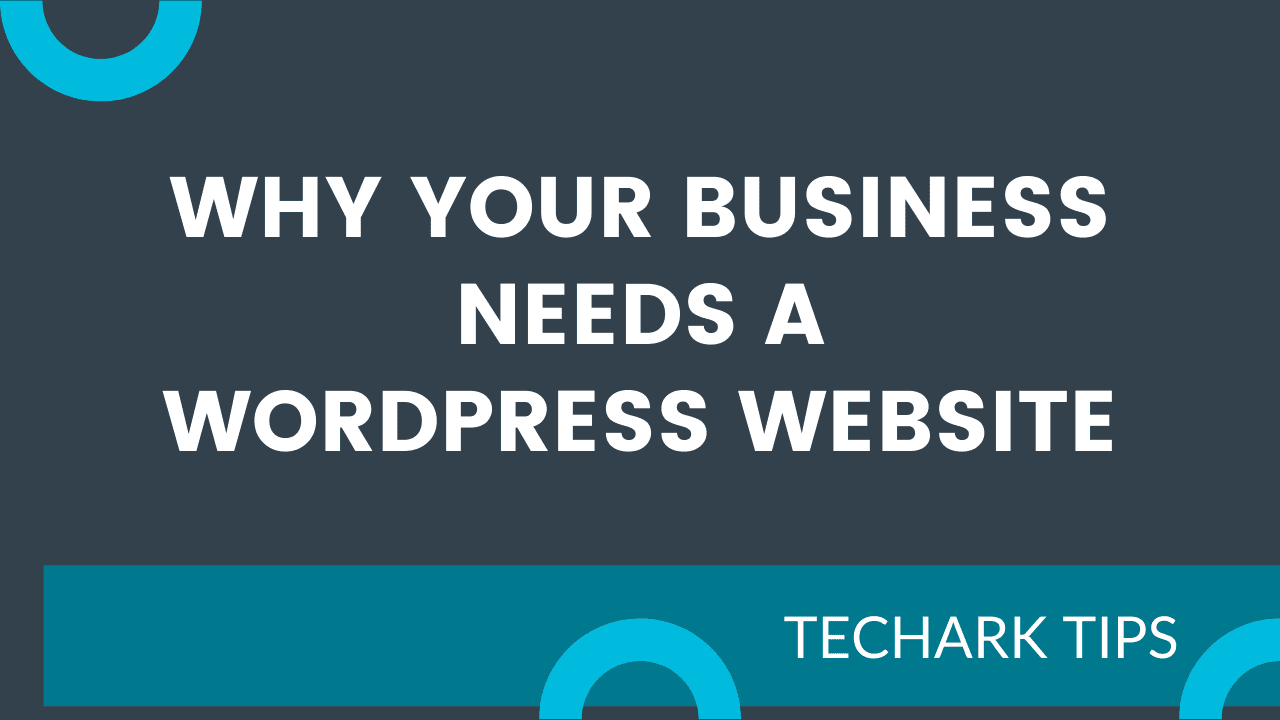 Why Your Business Needs A Wordpress Website