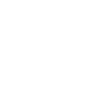 STG Industry